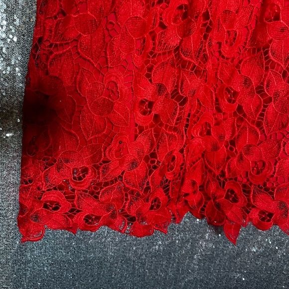 ANN TAYLOR WOMEN Red Lace Dress Size 18 - Picture 10 of 11